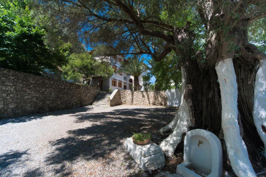 Ilios Studios Lefkáda エクステリア 写真